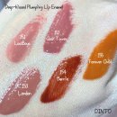 #524 | Dinto [피터&웬디콜렉션] 딘토 립 글라세 & 립애나멜&비마이웬디블러셔 전색상 발색!