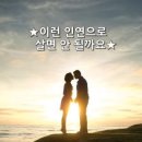 인연 Daum카페