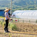 푸르담농장 이미지