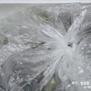 푸른촌 이미지
