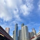 리 헤어피카소 | 🇦🇺멜버른을 떠나 기차타고 시드니로…