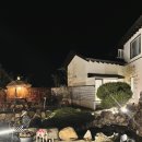 조선카페 | 광주 효천지구 맛집 애견동반 카페 조선피플 후기