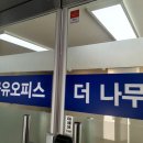 오피스나무 네이버블로그