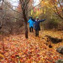 우정쉼터 이미지