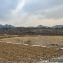 하리 민박 이미지