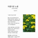 풋사랑
