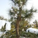 곡은농장 이미지