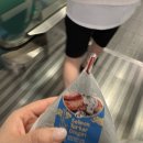 여행] 싱가포르 항공/ 덴파사르공항 환전/ 아디다르마호텔/ 알라야리조트 우붓/ 피손우붓/ 몽키포레스트