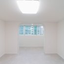 국화라이프 이미지