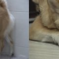 천상천하농장 이미지