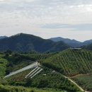 매산농장 이미지