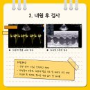 오디세이 동물심장내과 이미지