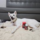 에스솔루션 이미지