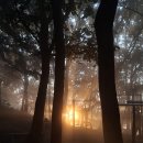 문막체육공원길 이미지