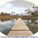 그랑호텔 | 제주여행 호텔 추천: 호텔 더 그랑 서귀포 솔직 후기