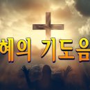 찬송가 연속 듣기-은혜의 기도음악 이미지