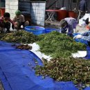 산청식당 이미지