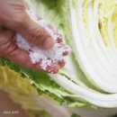 나박 물김치 담그는 법 맛있는 국물 팁 이미지