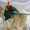 고박사조개손칼국수