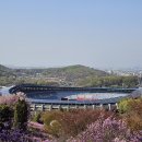 종합운동장 인라인스케이트장 이미지