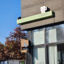 커피랑(샌드위치) | 남양주브런치 남양주카페 남양주디저트 다산카페 커피플레이어 샌드위치 티라미수 후기