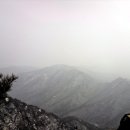 계룡산약국 Daum카페