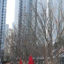 서시장(KT건너) 이미지