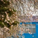 감곡초등학교병설유치원 이미지