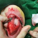 믿음동물병원 이미지