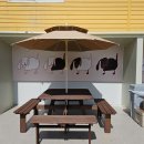 똥강아지 애견 이미지