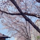 대구선동촌공원2 이미지