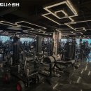 울프피트니스 이미지