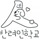반려인학교 이미지