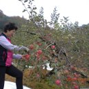 길중농장 이미지