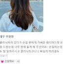 🍋컬러데이, 즐거운 수원이마트점 이철헤어커커!