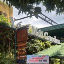 가든이다 | 나트랑 맛집 씀모이가든 내돈내산 메뉴추천 워크인 후기