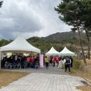 온천과 함께하는 솔바람길 이미지