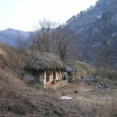 산골집 Daum카페