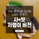 페로페라 동물병원 | 코숏+페르시안 집사의 고양이 브러쉬 빗 후기 – 사*빗 저렴이 버전 추천!🐱