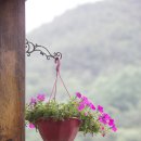 화림가든 이미지