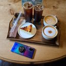 대티물꽁 이미지