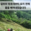 벌초ㆍ예초(인천광역시 계양구 귤현동) 이미지