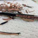 다빈치 감성미술 이미지