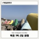 뉴월드모텔 | [1박2일 묵호항 여행] 요즘 핫한 묵호에서 하루 묵호 왔어용~~~