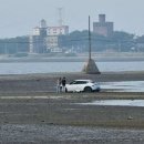 인천의 갯벌 이야기 이미지