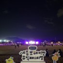 보헤미안 블루 | 2025 세종보헤미안뮤직페스티벌 SBMF 1일차 (캔트비블루,김뜻돌,양치기소년단,밀레나,너드커넥션)