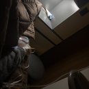 성수연세의원 | 독감보다 무서운 감기몸살, 수액으로 살아난 후기