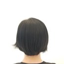 조은뿌리