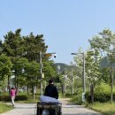 씨사이드파크 텐트캠핑장화장실 이미지