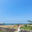 섬나라하얀집 | 제주도 제주 혼자 뚜벅이 여행 코스 ❤️ 혼밥 혼술